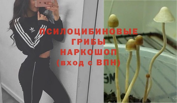 МДПВ Беломорск