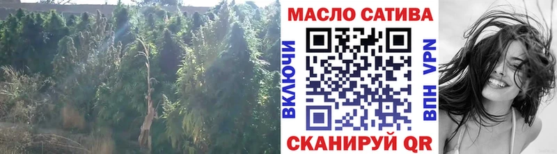 Дистиллят ТГК THC oil  Бийск 
