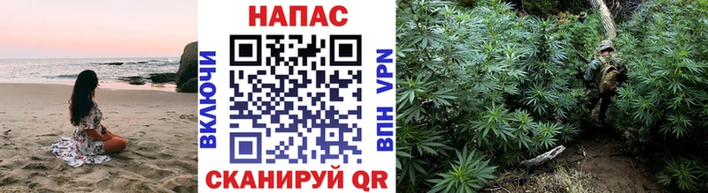 Марихуана MAZAR  как найти   Бийск 